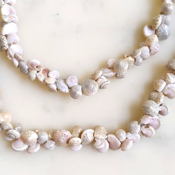 RARE! NWOT. Vintage Hawiian Umboniun Sea Shell Lei Necklace. - Picture 4 of 4